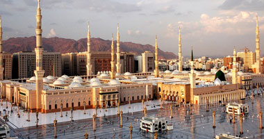 وديع العلاوى يكتب:  خير الأنام                        