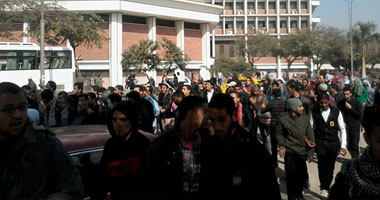 جامعة أسيوط تناقش مرض زيكا ورعب "الزاعجة المصرية"