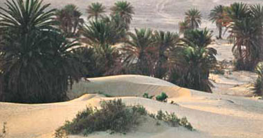خالد عبد الحميد صالح يكتب: التنمية التى نريدها فى أرض الفيروز 