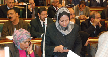 مصدر: الانتخابات التشريعية فى مصر قد تجرى فى نوفمبر