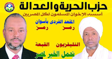"العمدة" يتحالف مع الجماعة الإسلامية والسلفيين لردع "الحرية والعدالة"