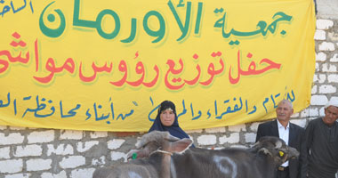 "الأورمان" تسلم 100 رأس ماشية لفقراء قنا بتكلفة مليون جنيه