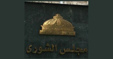 "ماعت" تناقش دور مجلس الشورى ومدى مساهمته فى العملية السياسية