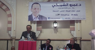 الشوبكى: الإعلان الدستورى لم يعبر عن الشعب