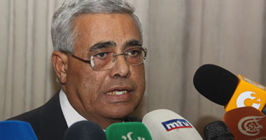 نافعة: صلاحيات الرئيس زادت إلى 22 مادة بالدستور الجديد