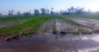 النيابة تأمر بحبس متهمين بالبلطجة وحمل السلاح بوادى النقرة