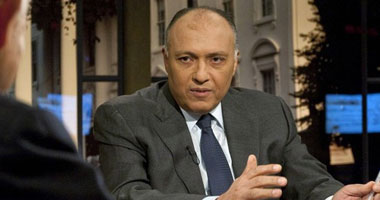 تسهيلات لمساعدة المصريين فى أمريكا على استخراج بطاقة الرقم القومى