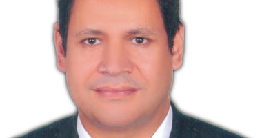 ما هى المنظمة الحسية الجسدية؟