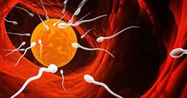 متبرع بحيوانات منوية يلتقى ببعض أبنائه الـ22 للمرة الأولى