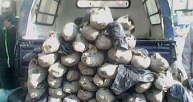 ضبط 56 كيلو بانجو بحيازة فلاح بالفيوم