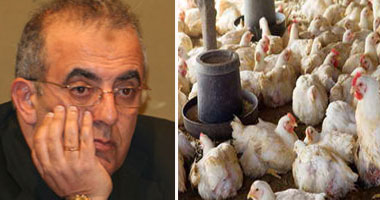 احتجاز 5 حالات اشتباه بمرض أنفلونزا الطيور بسوهاج