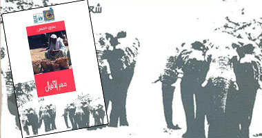 "ممر الأفيال" ديوان جديد عن قصور الثقافة