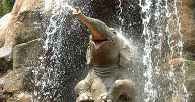 بالصور.. الحيوانات ضاحكةً.. عن الأسباب البسيطة للفرح  