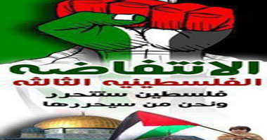 تدشين العديد من الصفحات على الفيس بوك لتحرير فلسطين 