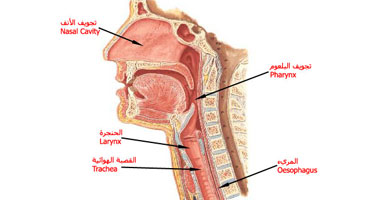  ما علاج "بحة الصوت"؟