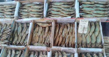 الصحة : إعدام 2 طن رنجة وفسيخ غير صالحة للاستخدام الآدمى