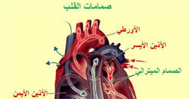 دراسة: الإيدز يزيد خطر الإصابة بقصور القلب