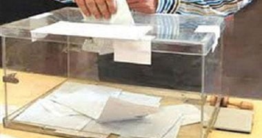 147 ألف مصرى أدلوا بأصواتهم بالإعادة فى السعودية