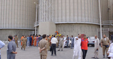 مطاحن الدلتا: إجراءات لإلغاء عضوية عضو بمجلس الإدارة مدرج بقوائم الإرهاب