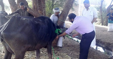 بالصور.. الكشف على 190 مريضًا فى قافلة للنور بنجع حمادى 