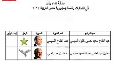 ضبط ناخب أخفى ورقة التصويت داخل لجنة بالمنوفية