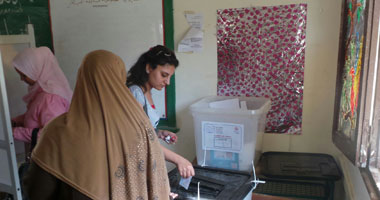 وفد من جامعة الدول العربية يزور لجان الاقتراع بالحوامدية