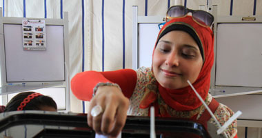 مراقبو الجامعة العربية: ندعم خارطة الطريق ومصر ستعبر هذه المرحلة 
