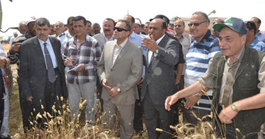 "زراعة الإسماعيلية" تقضى على 920 غرابًا بالتعاون مع "الصحة"