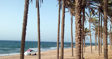 56% من الفرنسيين يفضلون القراءة على الشاطئ