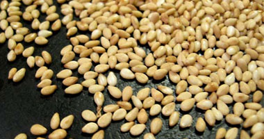  زيت السمسم يحافظ على شباب البشرة ونضارتها 