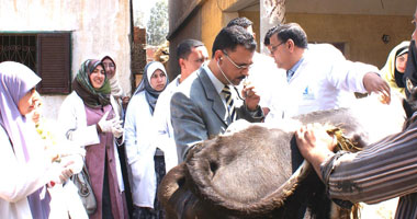 طب بيطرى كفر الشيخ: نكثف الرقابة على محال الجزارة والأسواق والمطاعم