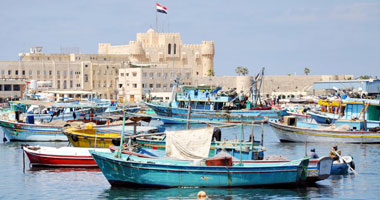 محمد الحفناوى يكتب: هذا الرجل من نريده محافظًا للإسكندرية