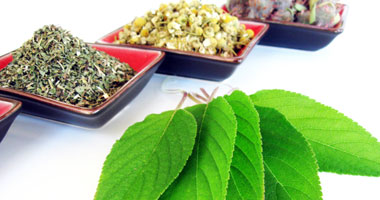 صور.. النباتات الطبية والعطرية "كنوز منسية".. الزراعة: خطة لزيادة المساحة حتى 250 ألف فدان لـ26 نوعا.. 4 أماكن واعدة بتوشكى والنوبارية والعوينات لدفع الإنتاج.. وتؤكد: تدخل فى صناعة الأدوية ومساحيق التجميل