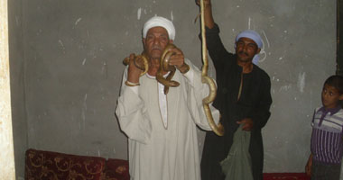 بالصور..عم رمضان صائد الثعابين يروى حكاياته مع الأفاعى: أعرف أماكنها عن طريق الشم.. وأصطادها بترياق يشبه رائحة الوليفة.. ويوجد بمصر 188نوعا.. والكوبرا والطريشة والعمية والأرقم والجدارى الأخطر