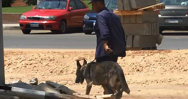 تمشيط قاعة "التخابر الكبرى" بالكلاب البوليسية قبل بدء محاكمة مرسى
