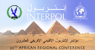 الإنتربول يعقد مؤتمراً بالقاهرة لمكافحة القرصنة الثلاثاء