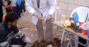 تنظيم قوافل خدمية للطب البيطرى بالبحيرة