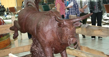 كندا تضع تمثال ثور من الشيكولاتة فى مطار كالجارى لجذب السائحين