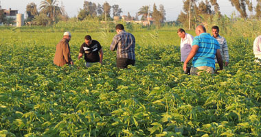  تجديد حبس 3 عاطلين بتهمة الاتجار فى المواد المخدرة بالعياط