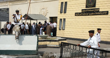 بالصور.. كواليس العفو الرئاسى عن 543 سجيناً بطره