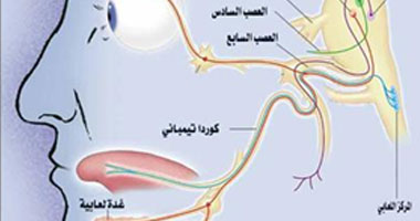 نصف الوجه لا يتحرك، فما تشخيص الحالة؟