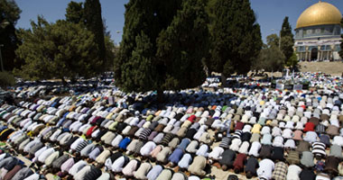 عزة صابر تكتب: بدون عنوان 