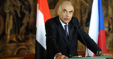 وزير الخارجية يحث المصريين بالخارج على الإسراع بالتصويت