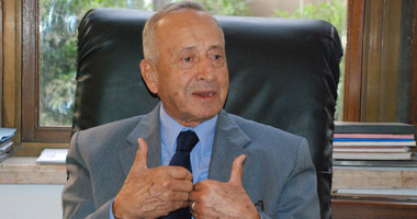 مصطفى السعيد: تحقيق الديمقراطية ضرورة اقتصادية لمصر 