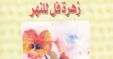"زهرة فل للنهر".. مجموعة قصصية عن المرأة