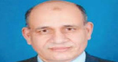 رئيس مصلحة الضرائب: من الجائز تحصيل ضرائب على أى خدمة استهلاكية