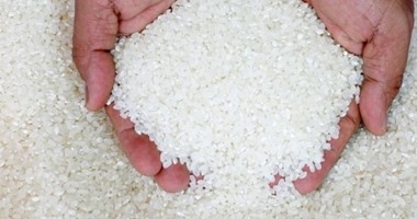 وزارة الزراعة تنظم يوم حصاد للأرز فى الشرقية