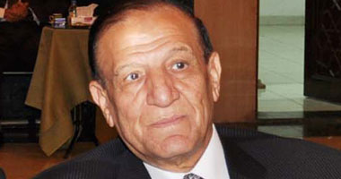 "الجالية المصرية" بهولندا: "عنان" طلب دعمنا لكننا نفضل "السيسى"