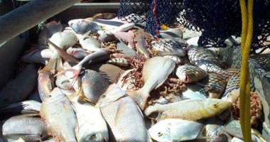 ضبط 18طناً من الأسماك المهربة من بحيرة ناصر