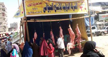 مديرية الطب البيطرى بالجيزة تغلق 16 شادراً للحوم 